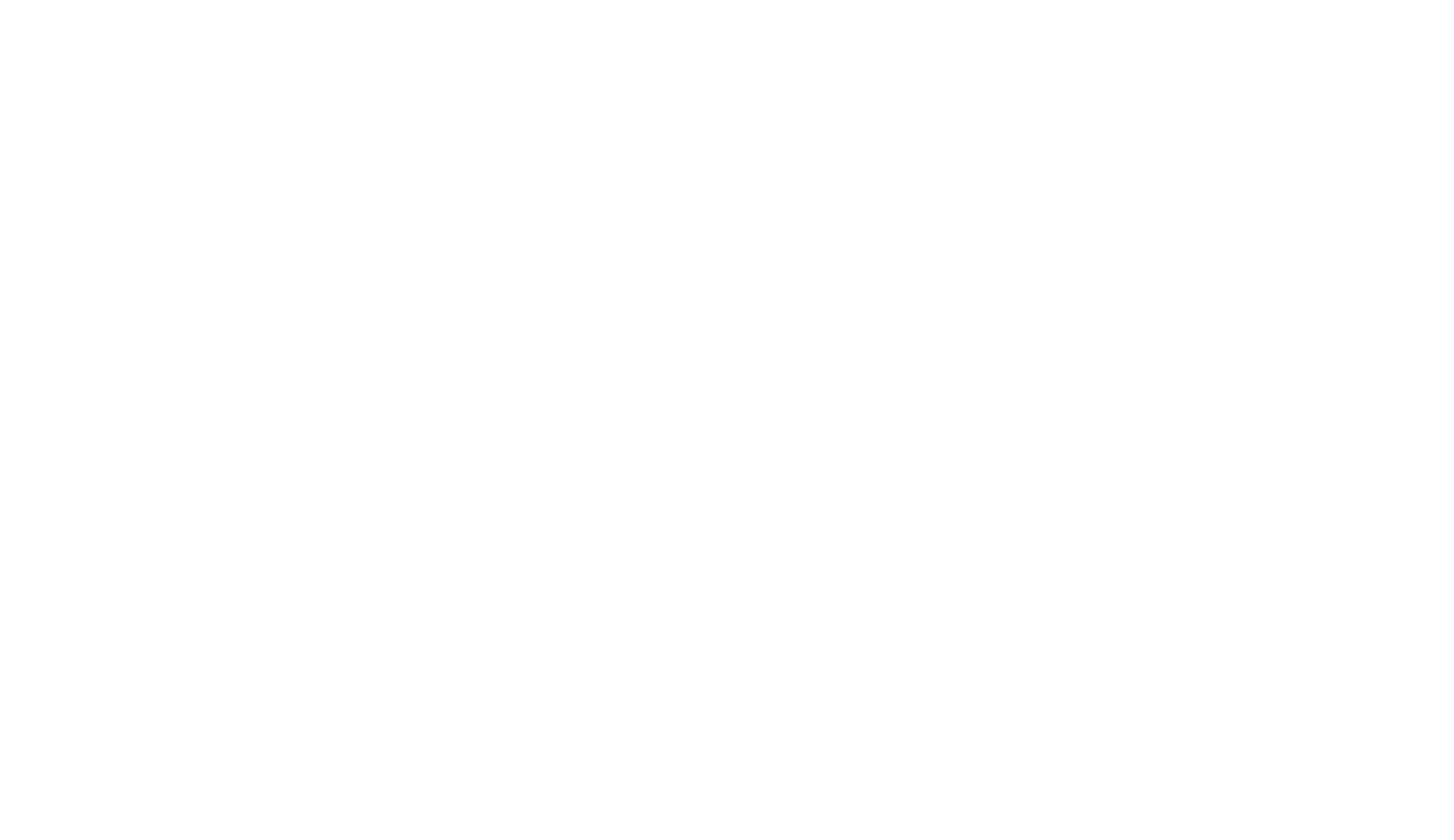 Camargue Horse Therapy