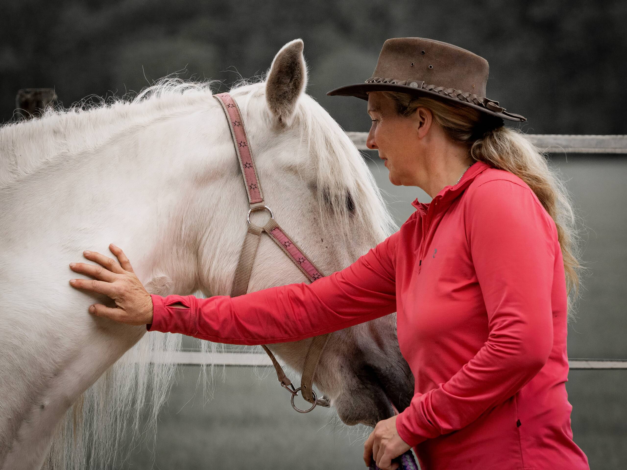 paardencoach Alexandra Steenbergen
