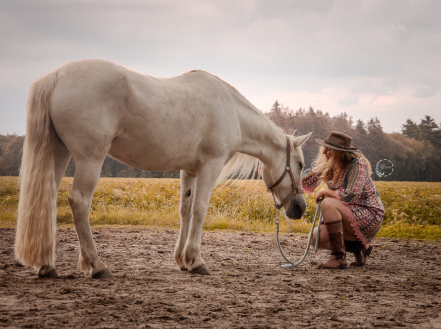 Paardencoach Alexandra