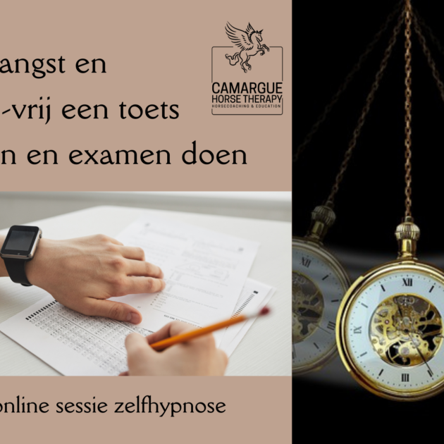 faal angst en stress-vrij examen doen